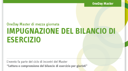 Immagine Impugnazione del bilancio di esercizio